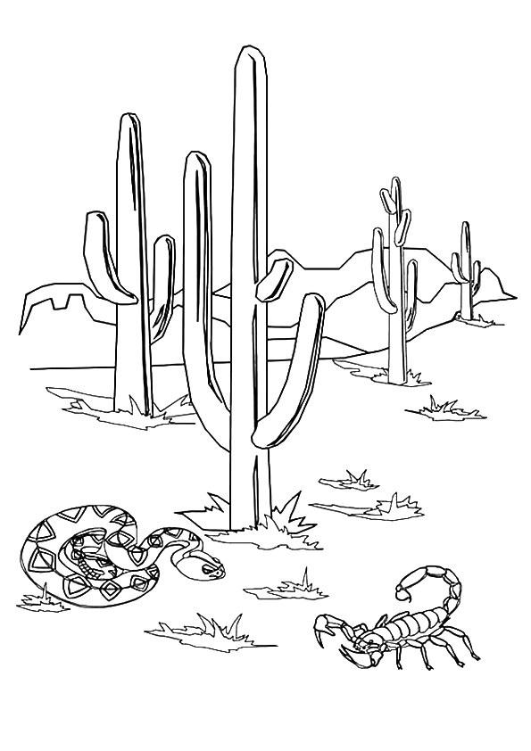 Plansa de colorat cu Cactus 7 32